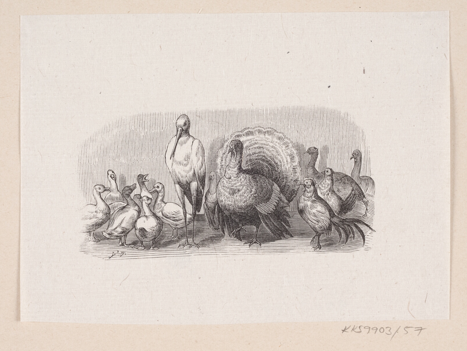 H.P. Hansen, Illustration til "Ole Lukøie" i H.C. Andersen, "Eventyr og Historier", Bind 1