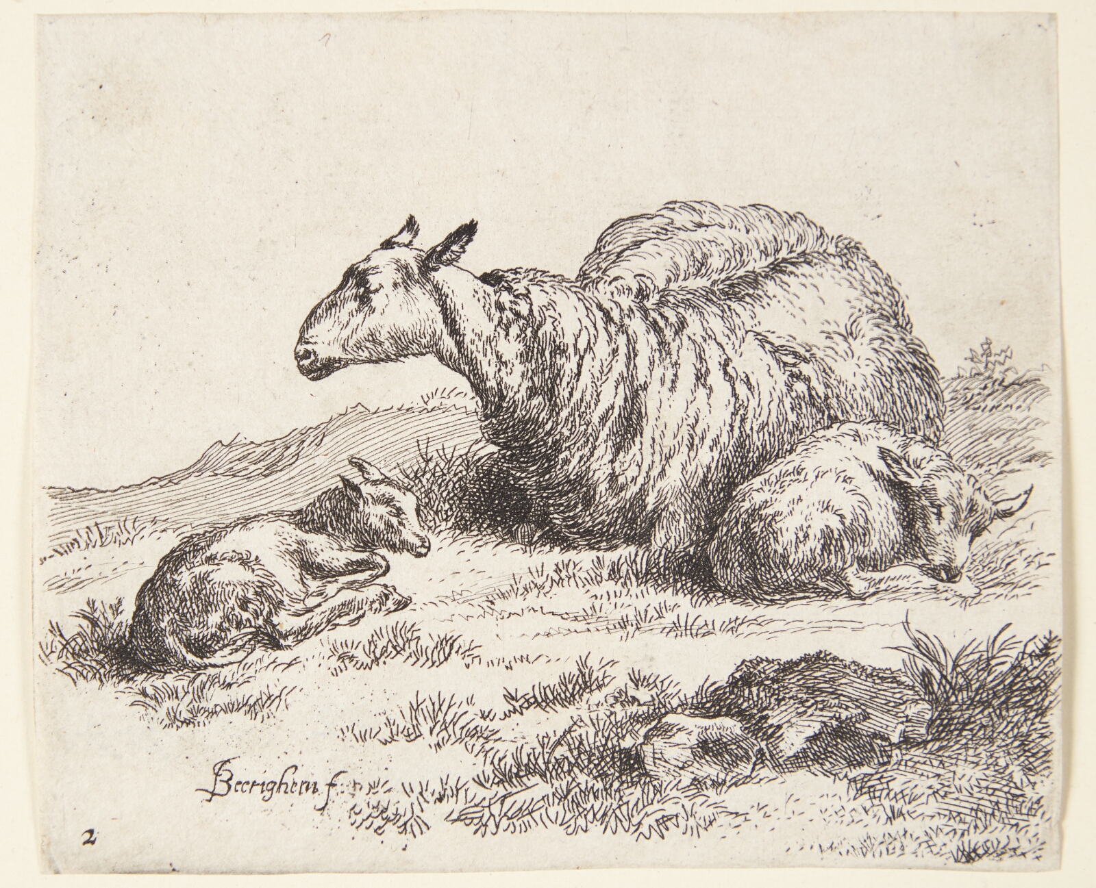 Nicolaes Berchem, Liggende får med to lam