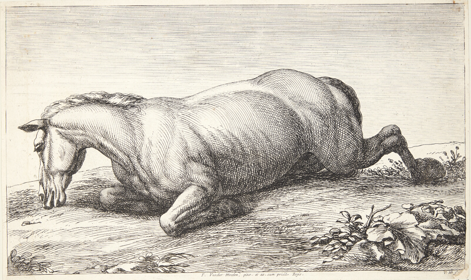 Jan van Huchtenburg, Falden hest, vendt mod venstre