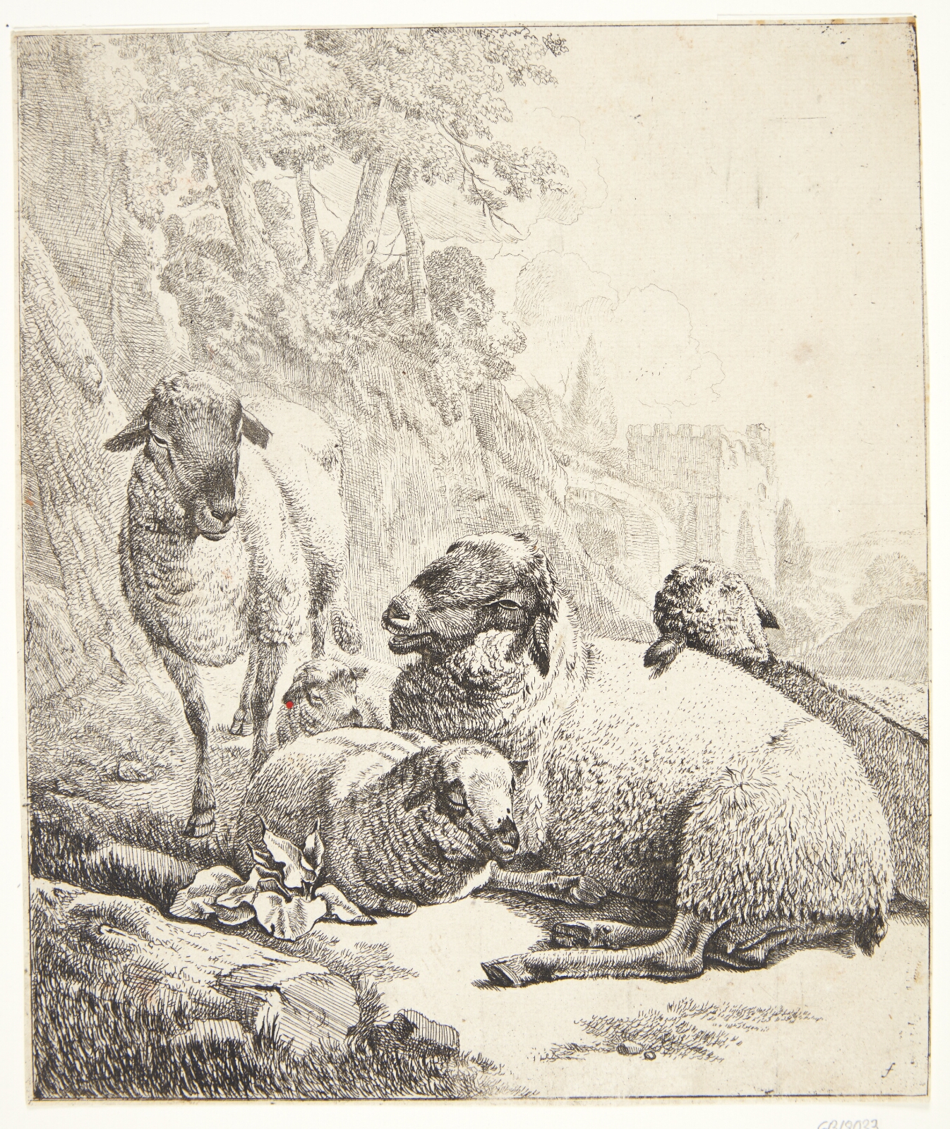 Johann Heinrich Roos, Et stående og fire liggende får