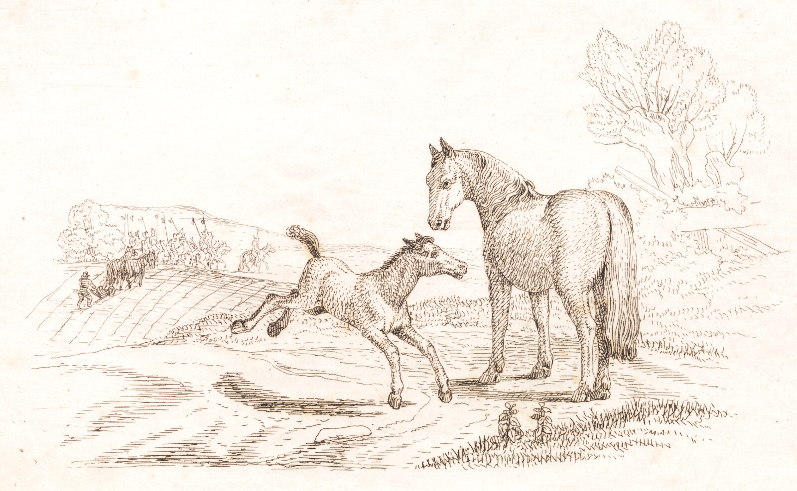 Martinus Rørbye, Illustration til "Halvhundrede Fabler for Børn" af Hey