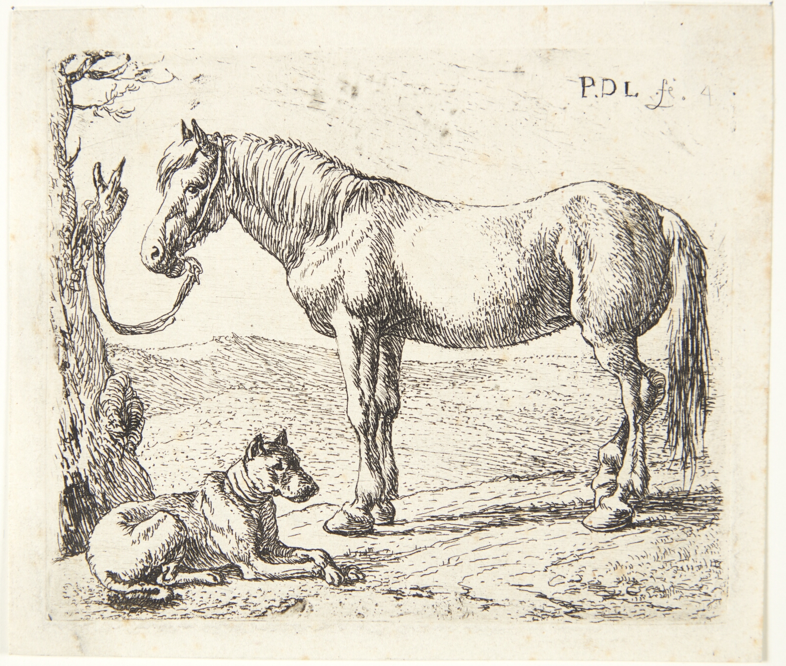 Pieter van Laer, En hest og en hund