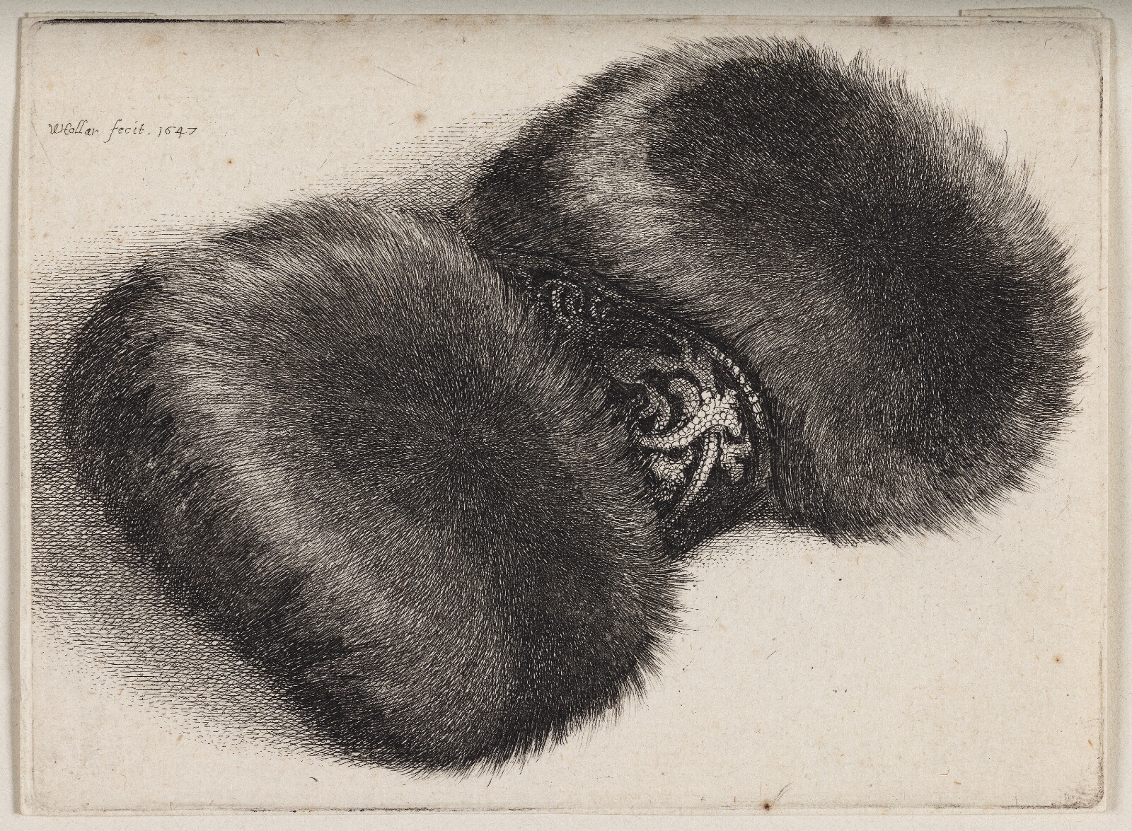 Wenceslaus Hollar, Pelsmuffe med et brokadeklædt bånd