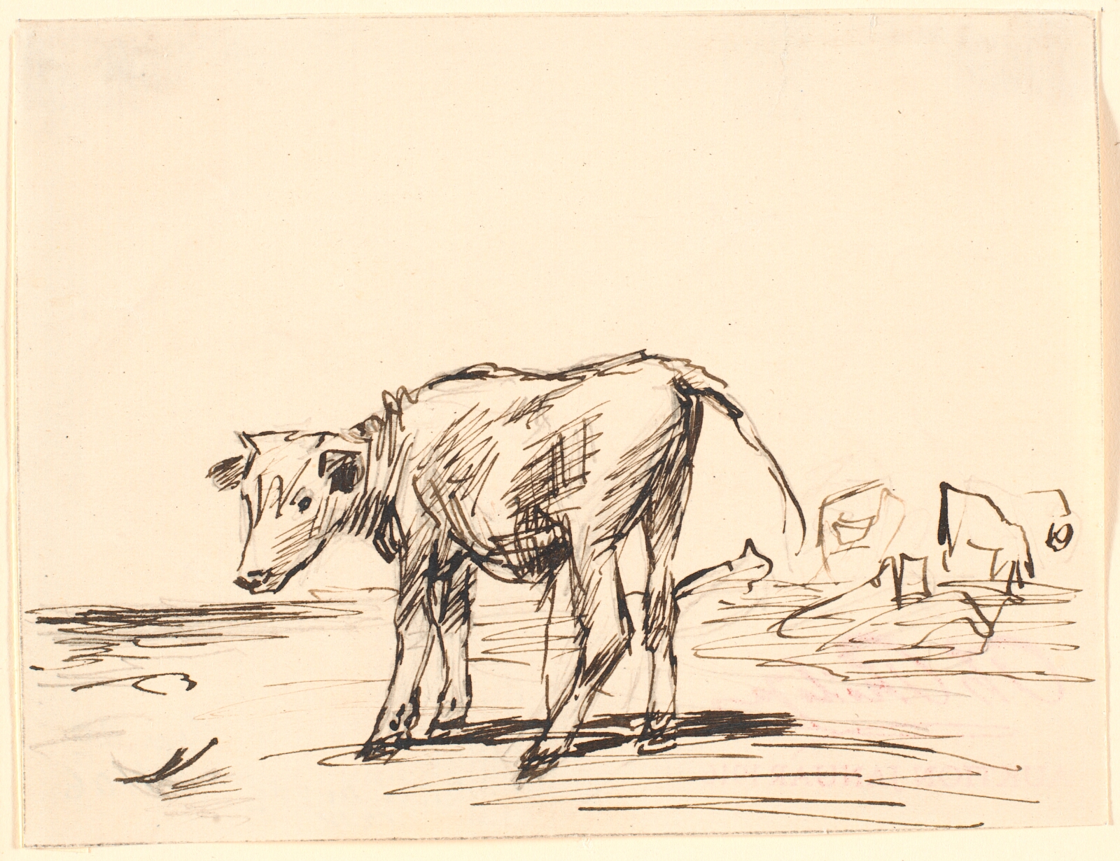 Theodor Philipsen, En tyrekalv