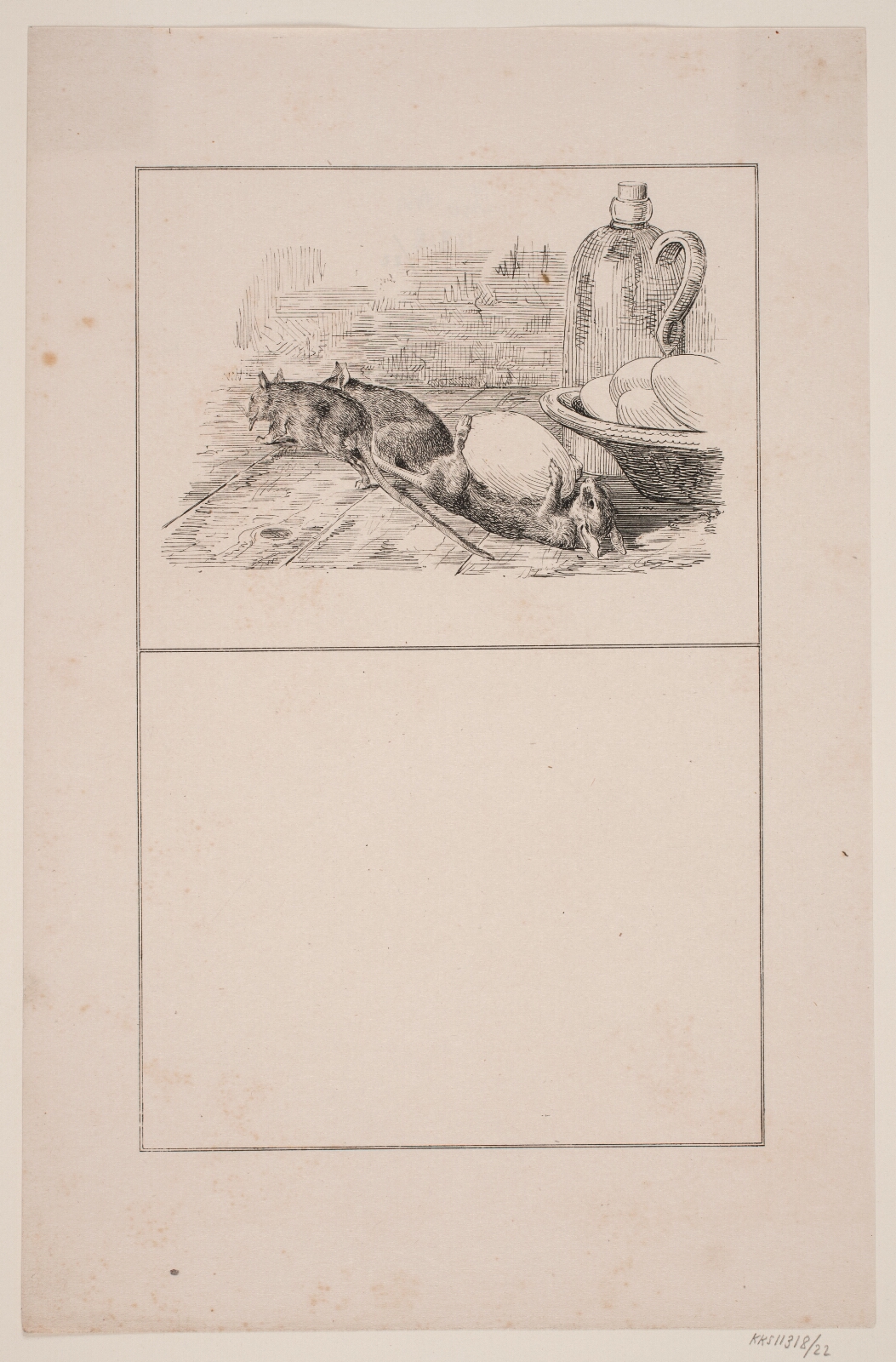 Adolph Kittendorff, Rotterne