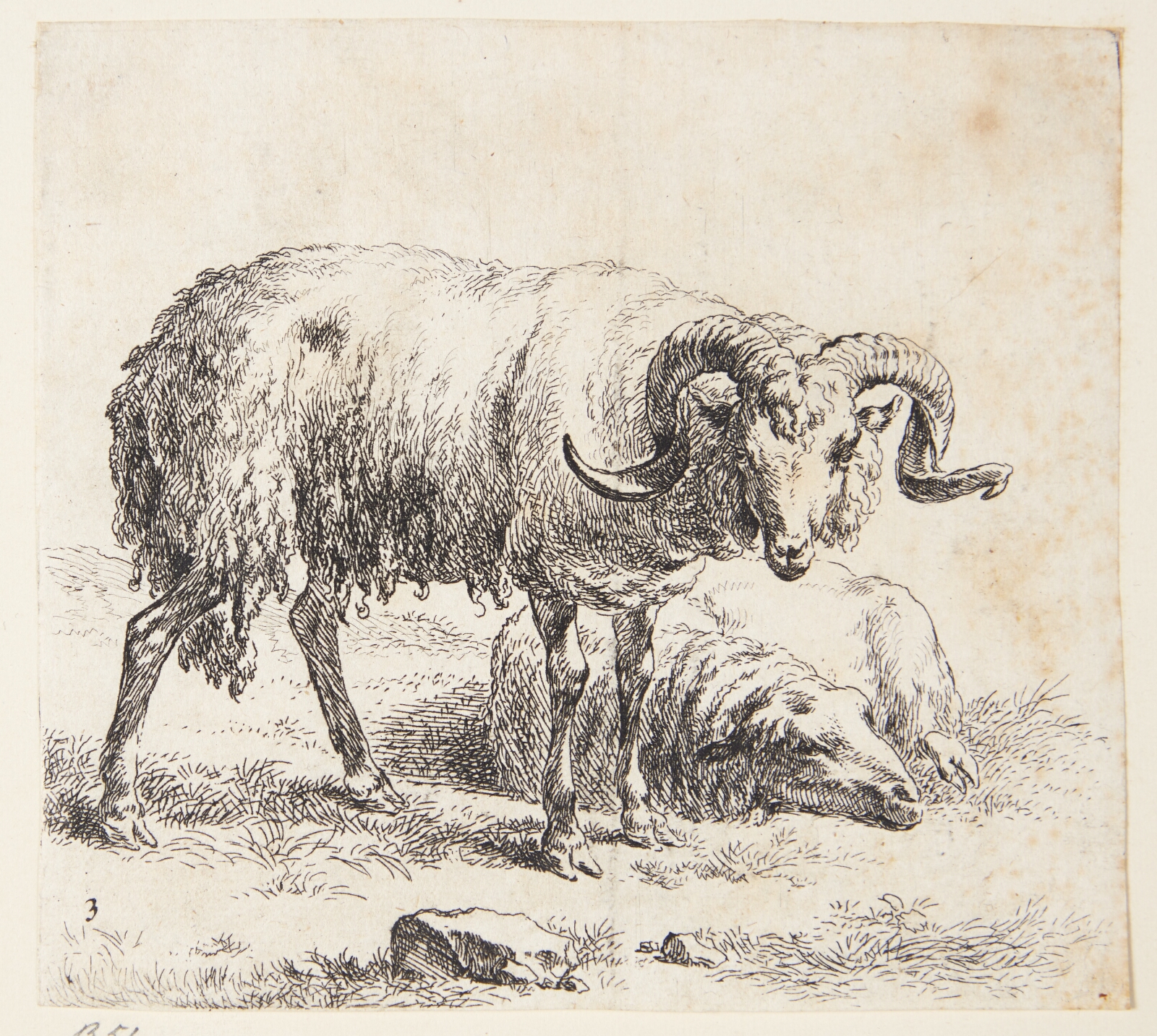Nicolaes Berchem, Stående vædder og et liggende får