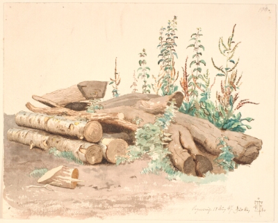 Nogle fældede træstammer, et vandtrug og forskellige plante-vækster, Lundbye, Johan Thomas, 1847