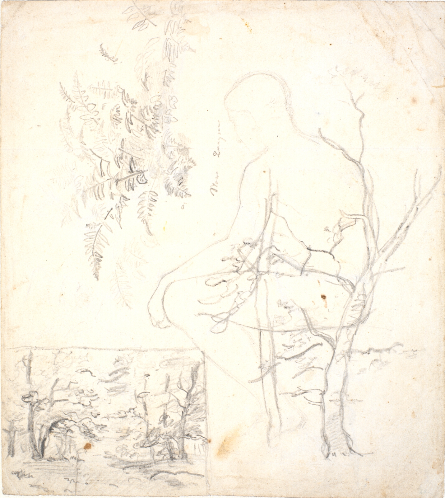 Dankvart Dreyer, Studieblad med skovbillede, træer, planter og figur