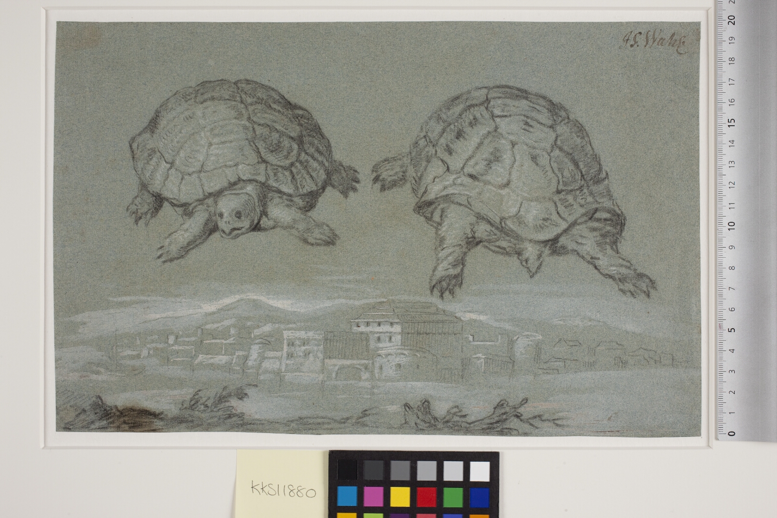 Johann Salomon Wahl, To studier af en skildpadde, og prospekt af en befæstet by ved havet