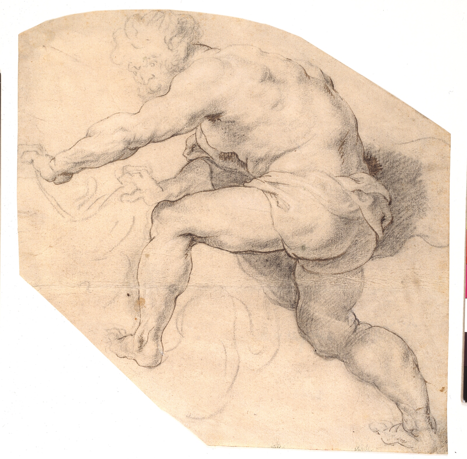 Peter Paul Rubens, Studie fra "Samson og løven"