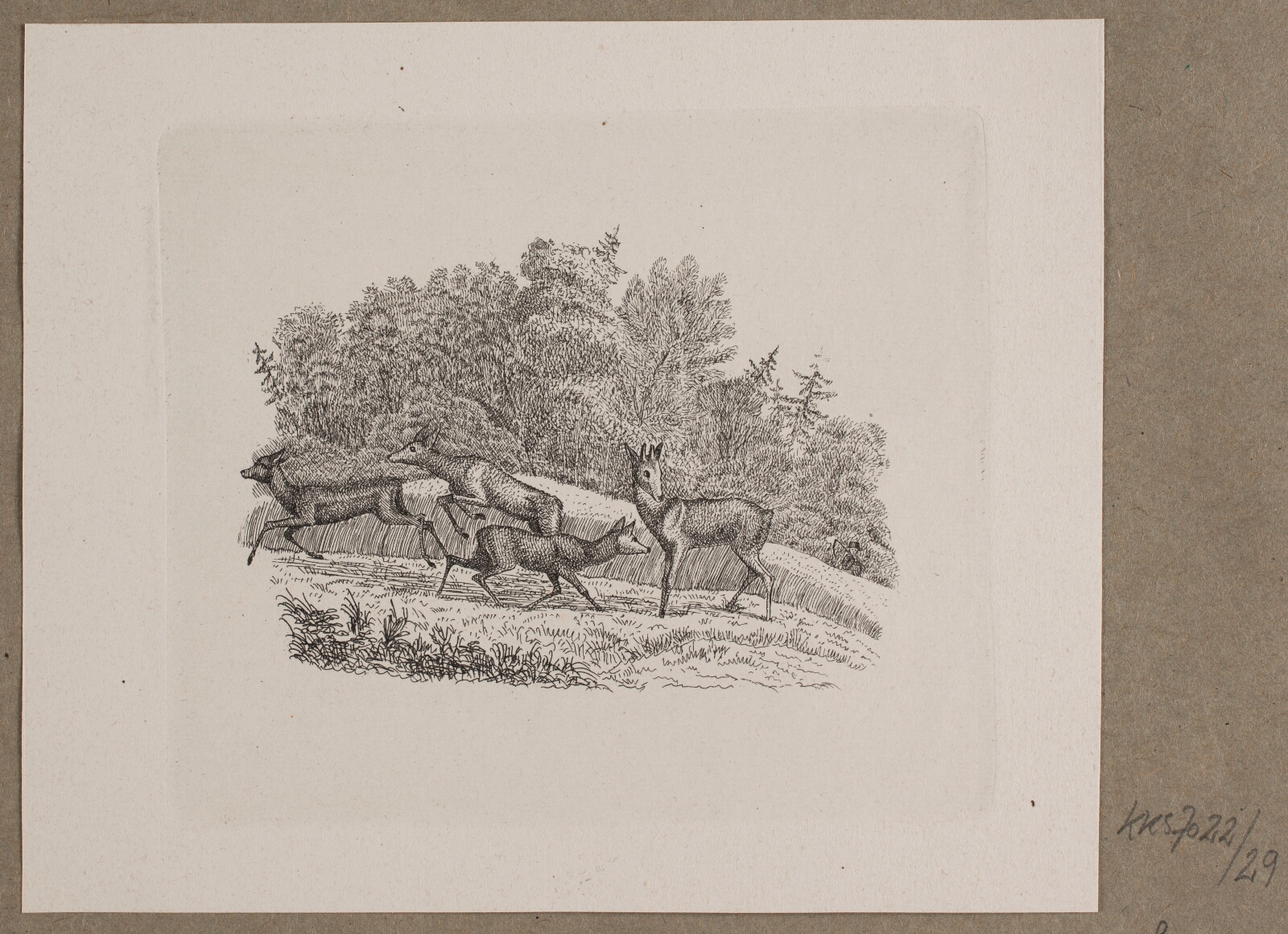 Vilhelm Kyhn, Illustration til O. Specter, "Fabler for Børn"