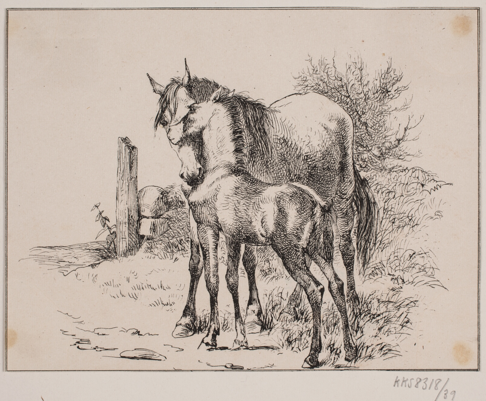 Adolph Kittendorff, Hesten og føllet