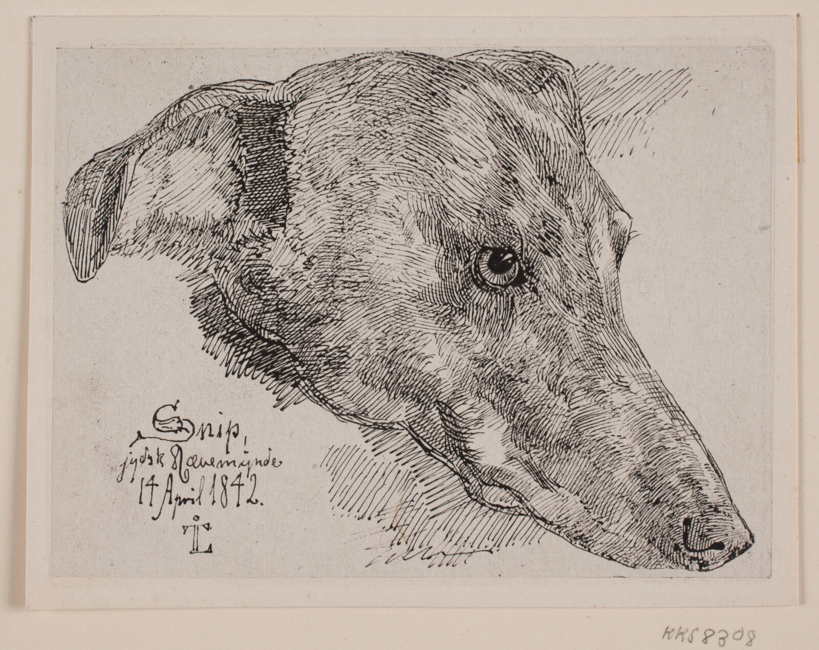 Johan Thomas Lundbye, Hundehoved, Snip