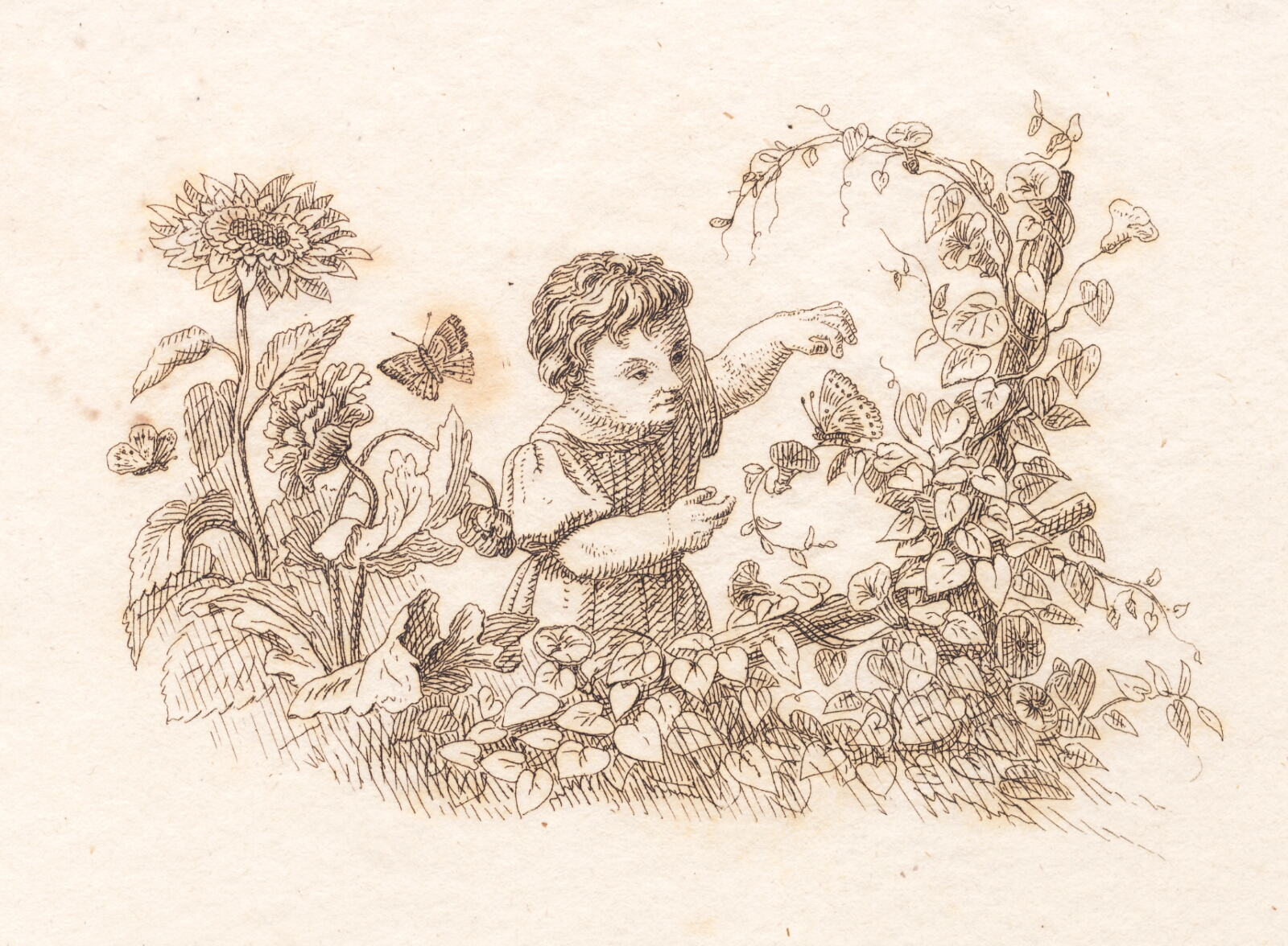 Martinus Rørbye, Illustration til "Halvhundrede Fabler for Børn" af Hey