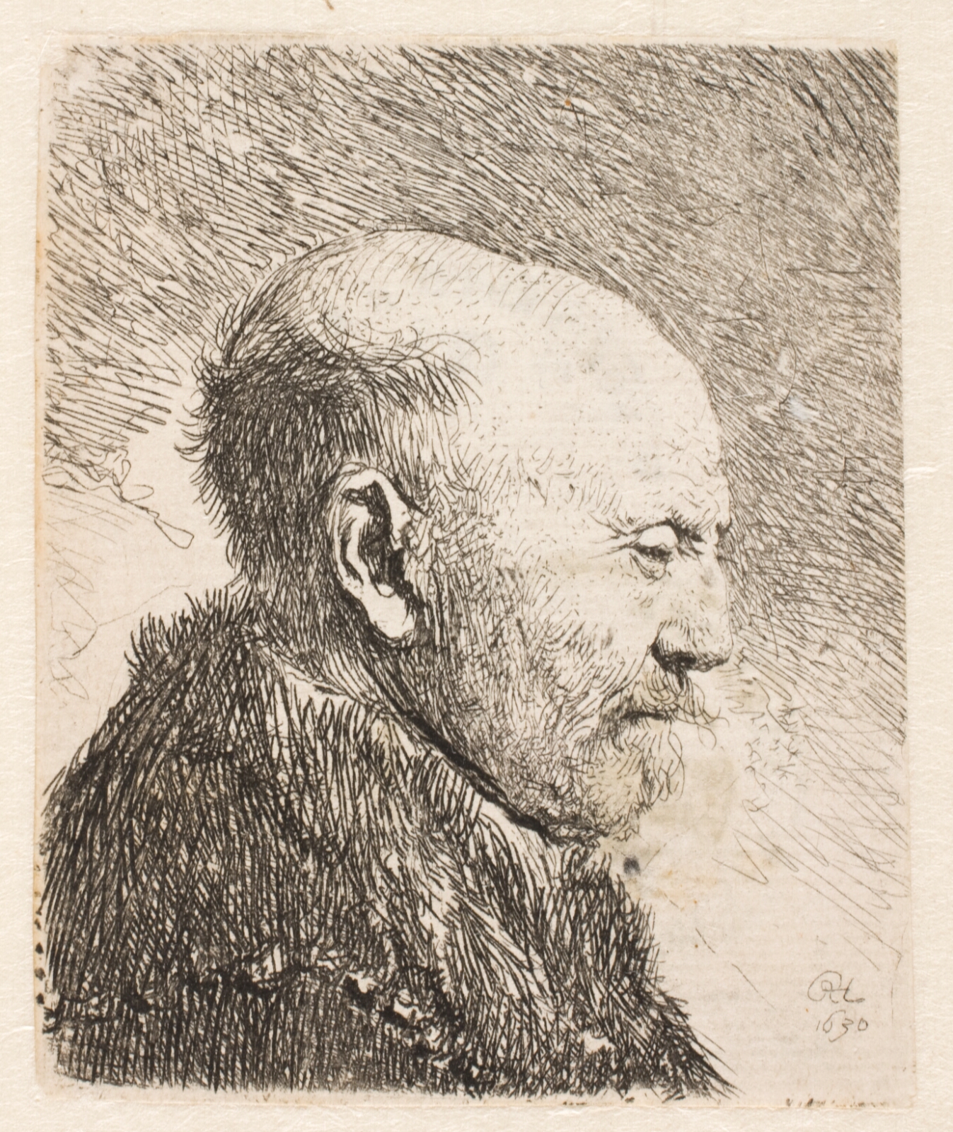 Rembrandt van Rijn, Skaldet mand i profil (Rembrandts fader?)