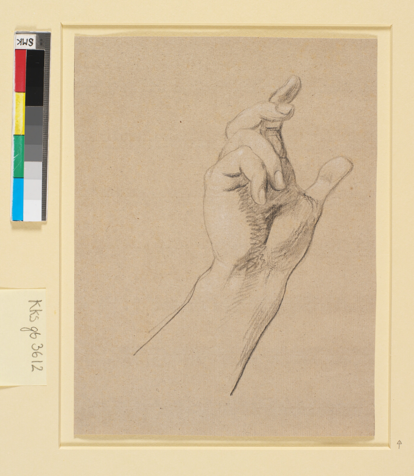 Nicolai Abildgaard, Studie af en hånd