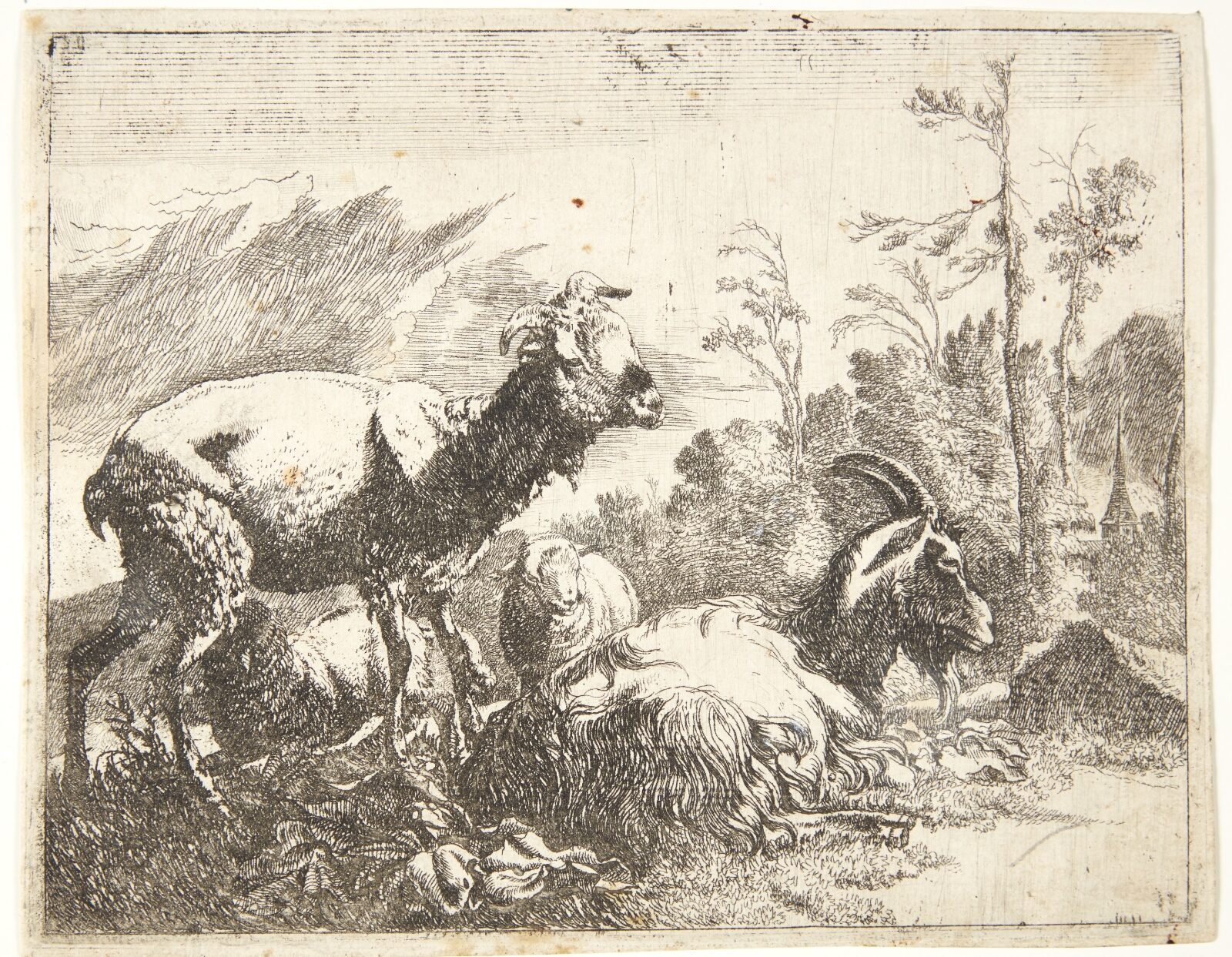 Johann Heinrich Roos, Stående og liggende får, i midten et får med klokke