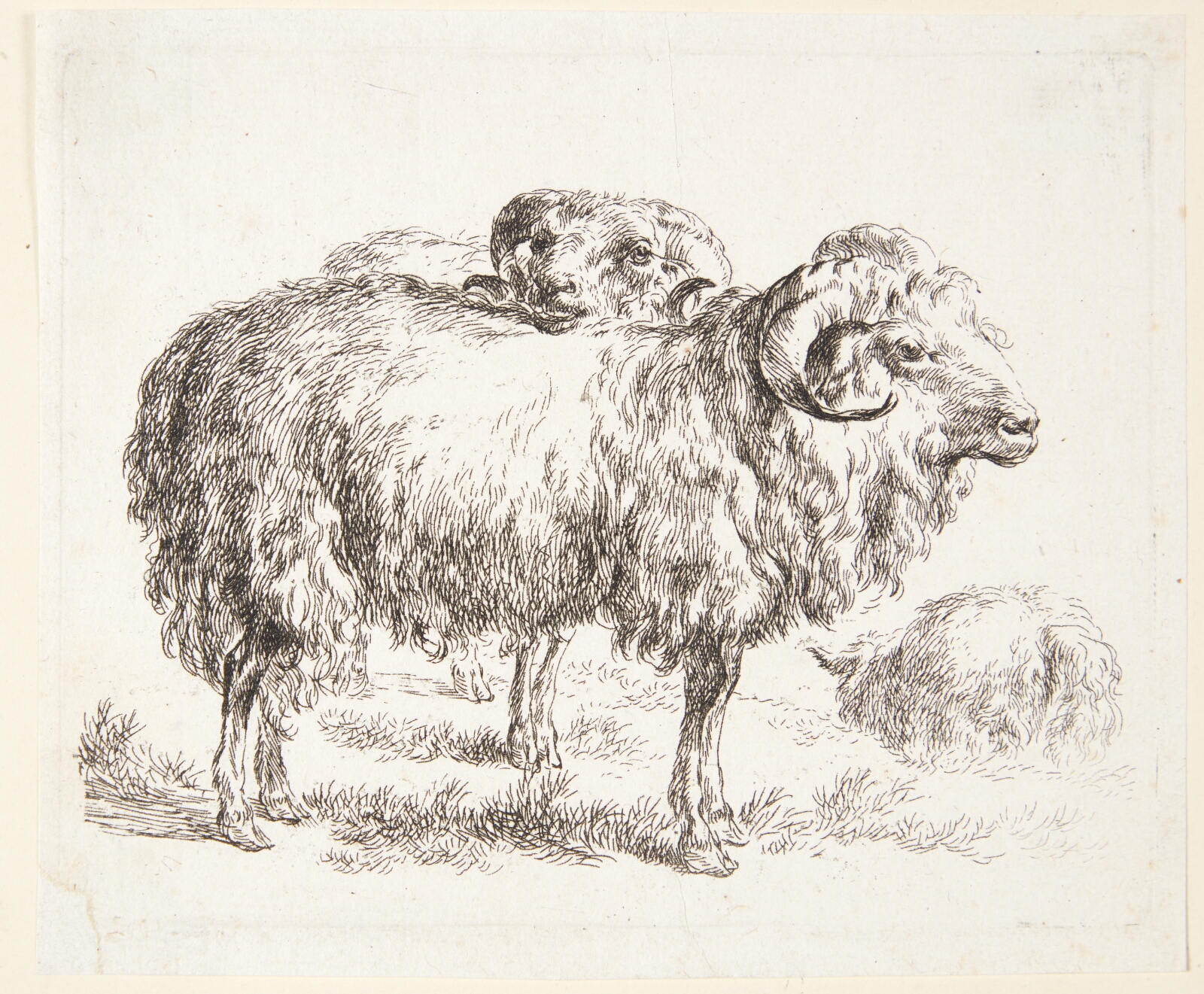 Nicolaes Berchem, To væddere