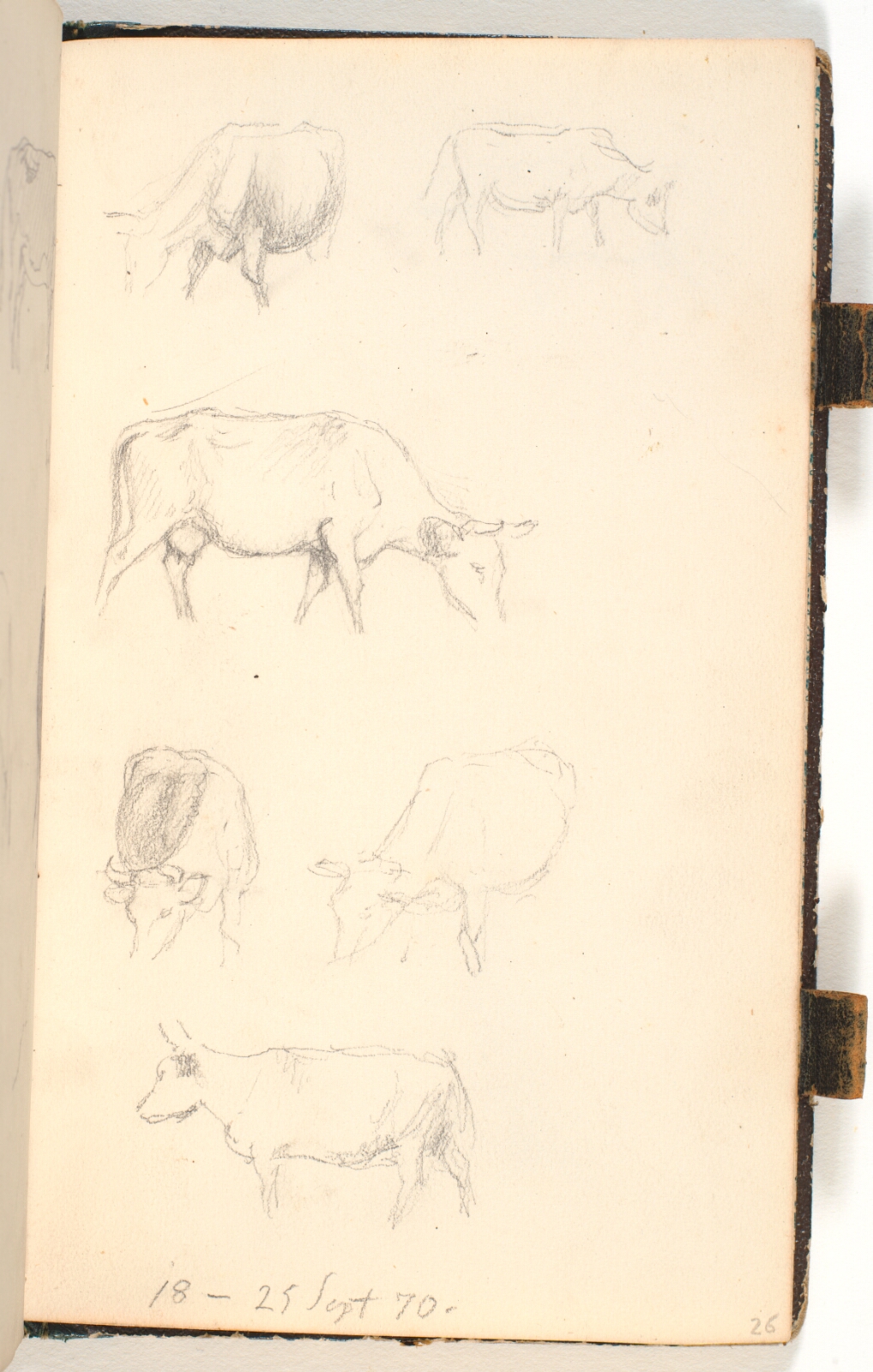 P.C. Skovgaard, Seks køer
