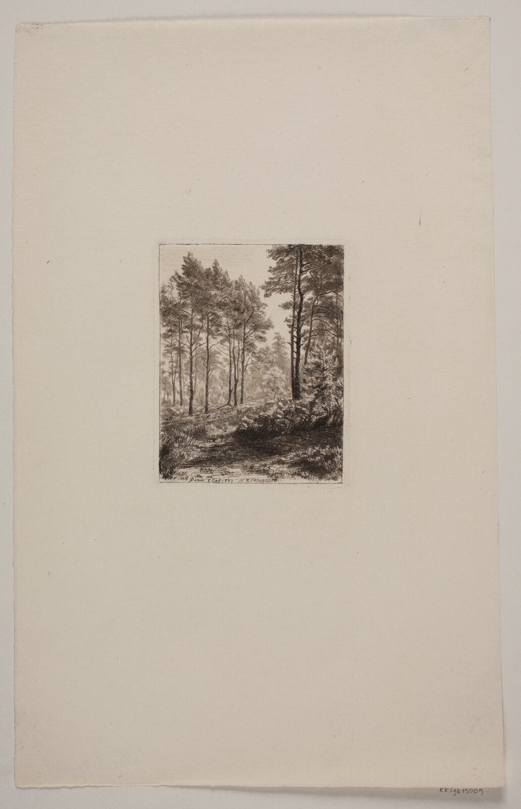Niels Skovgaard, Fyrreskoven