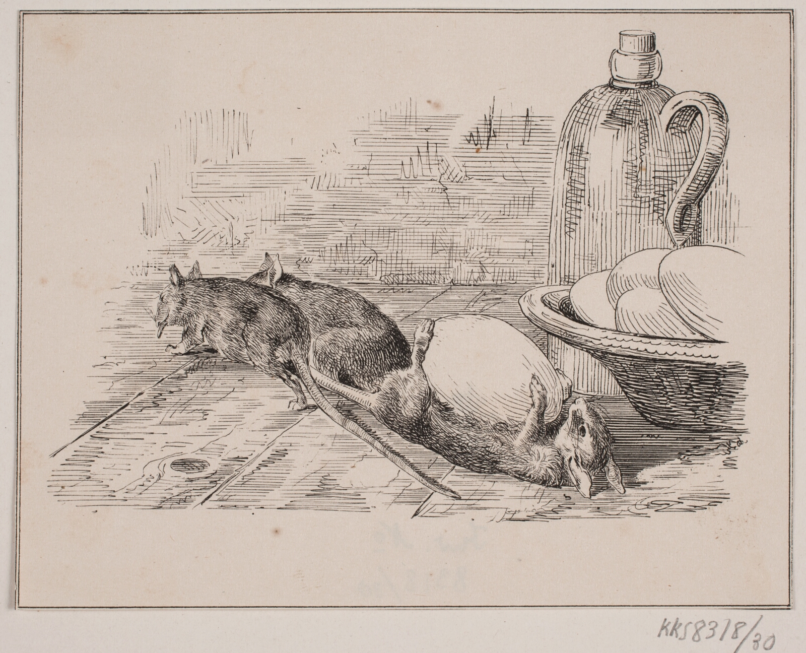 Adolph Kittendorff, Rotterne
