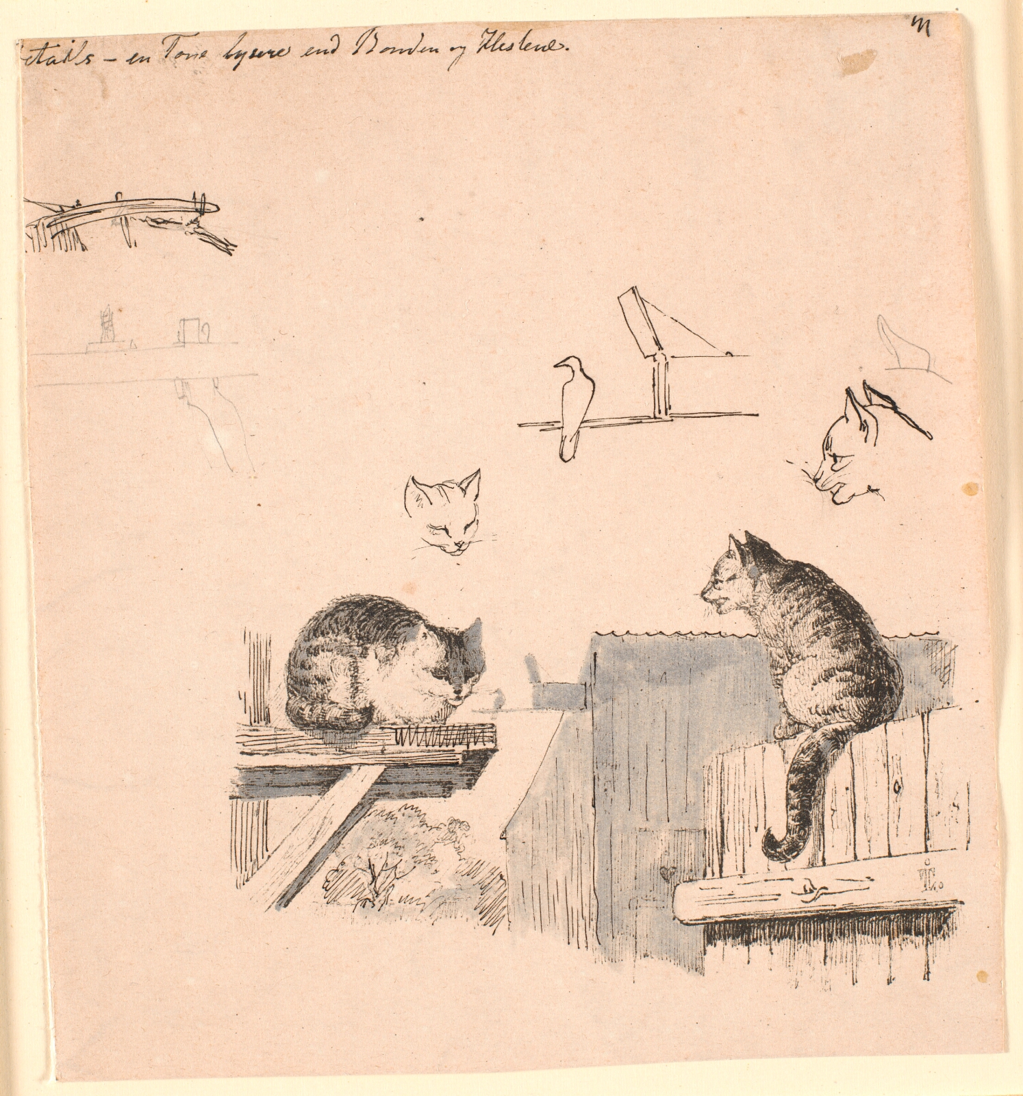 Johan Thomas Lundbye, De to katte. F.o. studier af kattehoveder, en fugl, et katteøre og bjælke-værk. Illustration til Kaalunds "Fabler for Børn". Se kommentar fra arkkatalog.