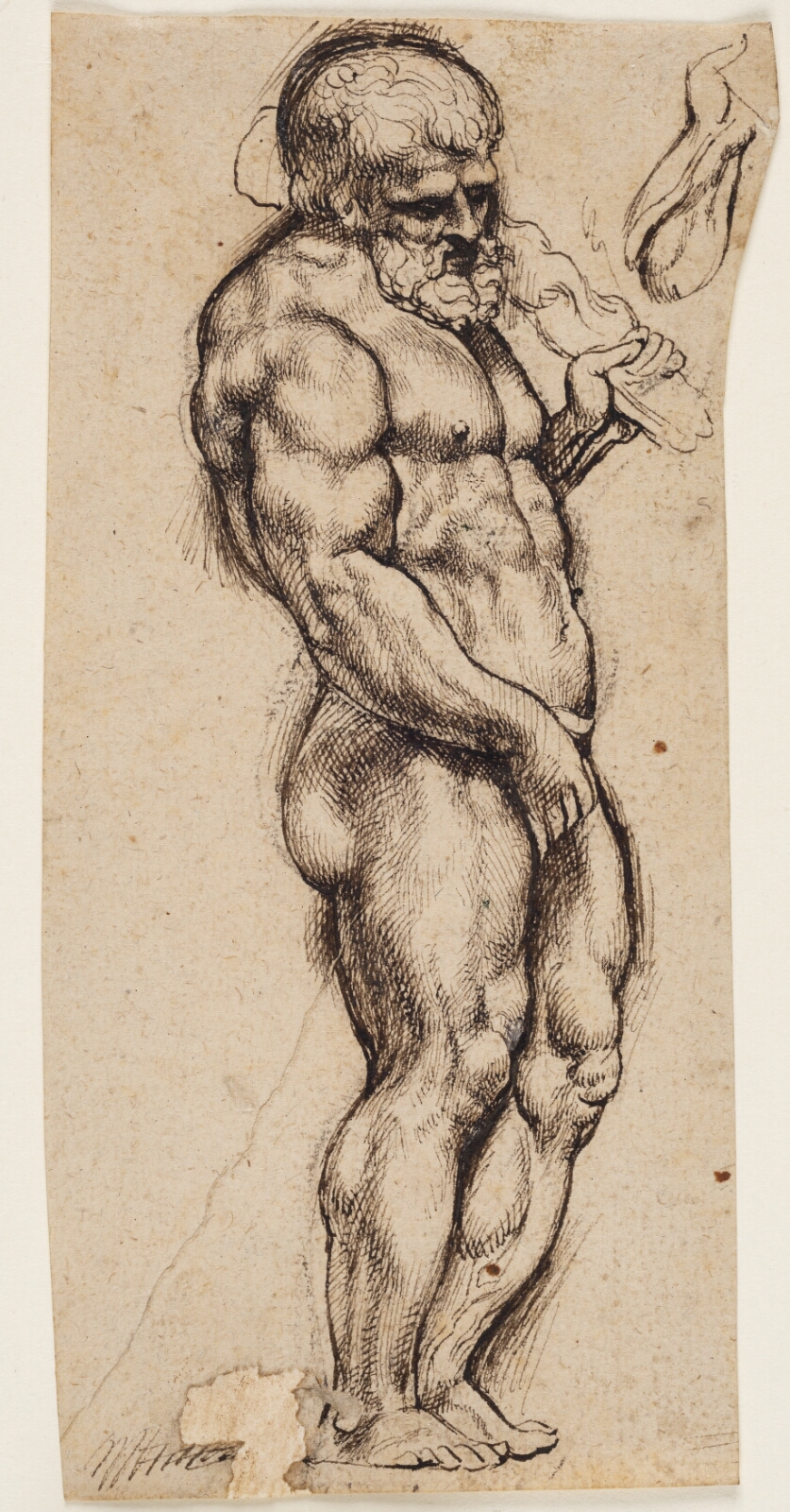 Peter Paul Rubens, Herkules