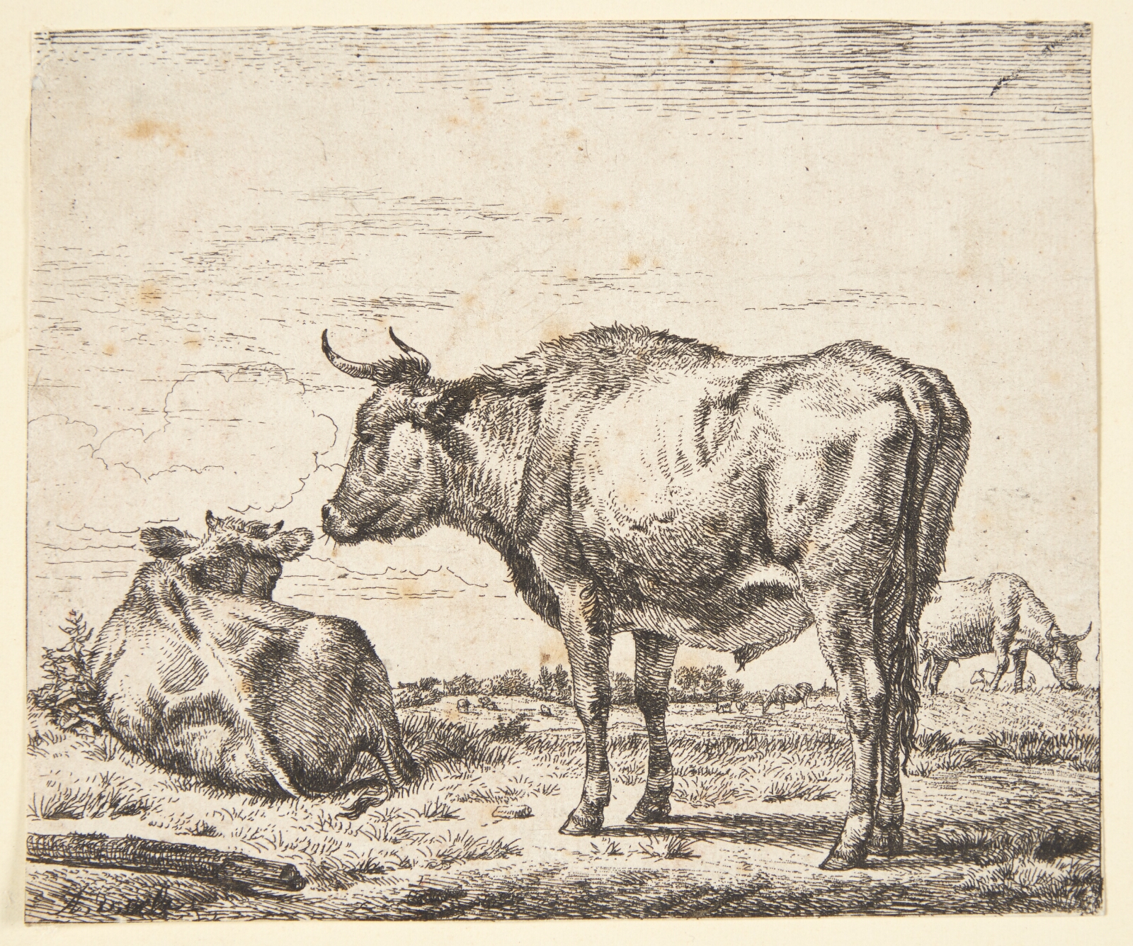 Adriaen van de Velde, Stående tyr