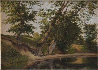 Parti fra bredden af en sø