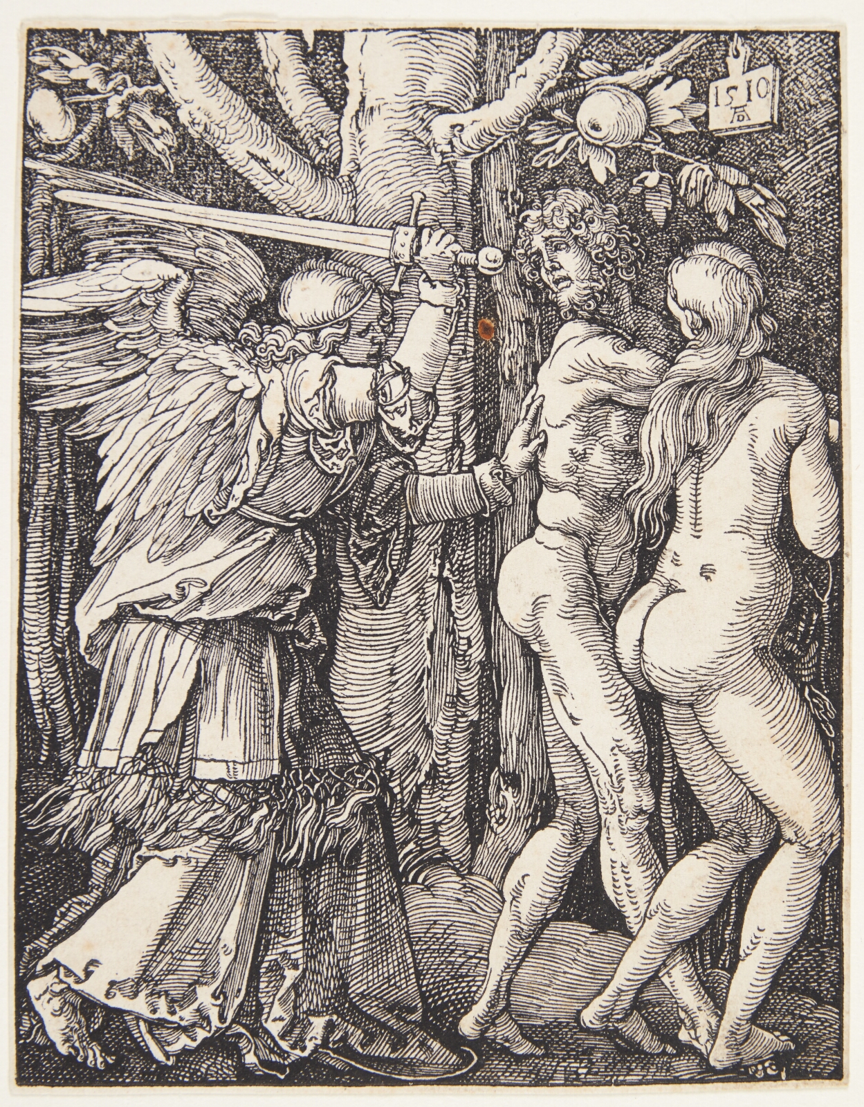 Albrecht Dürer, Uddrivelsen af Paradis