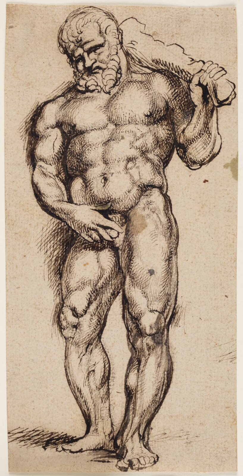 Peter Paul Rubens, Herkules