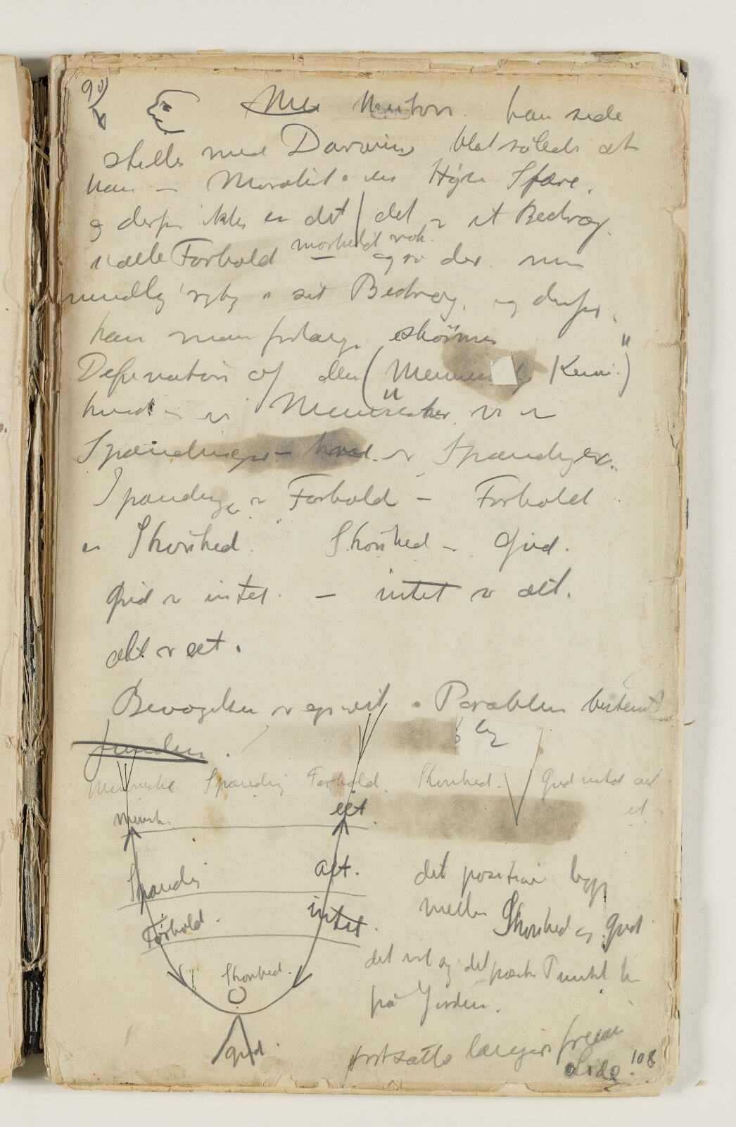 J.A. Jerichau (II), Notater om Newton[?], Darwin og moral. Desuden definition på den "Menneskelige Kemi" samt et diagram over samme, hvor der modstilles begreber som menneske - eet, spænding - alt, forhold - intet, skønhed - gud