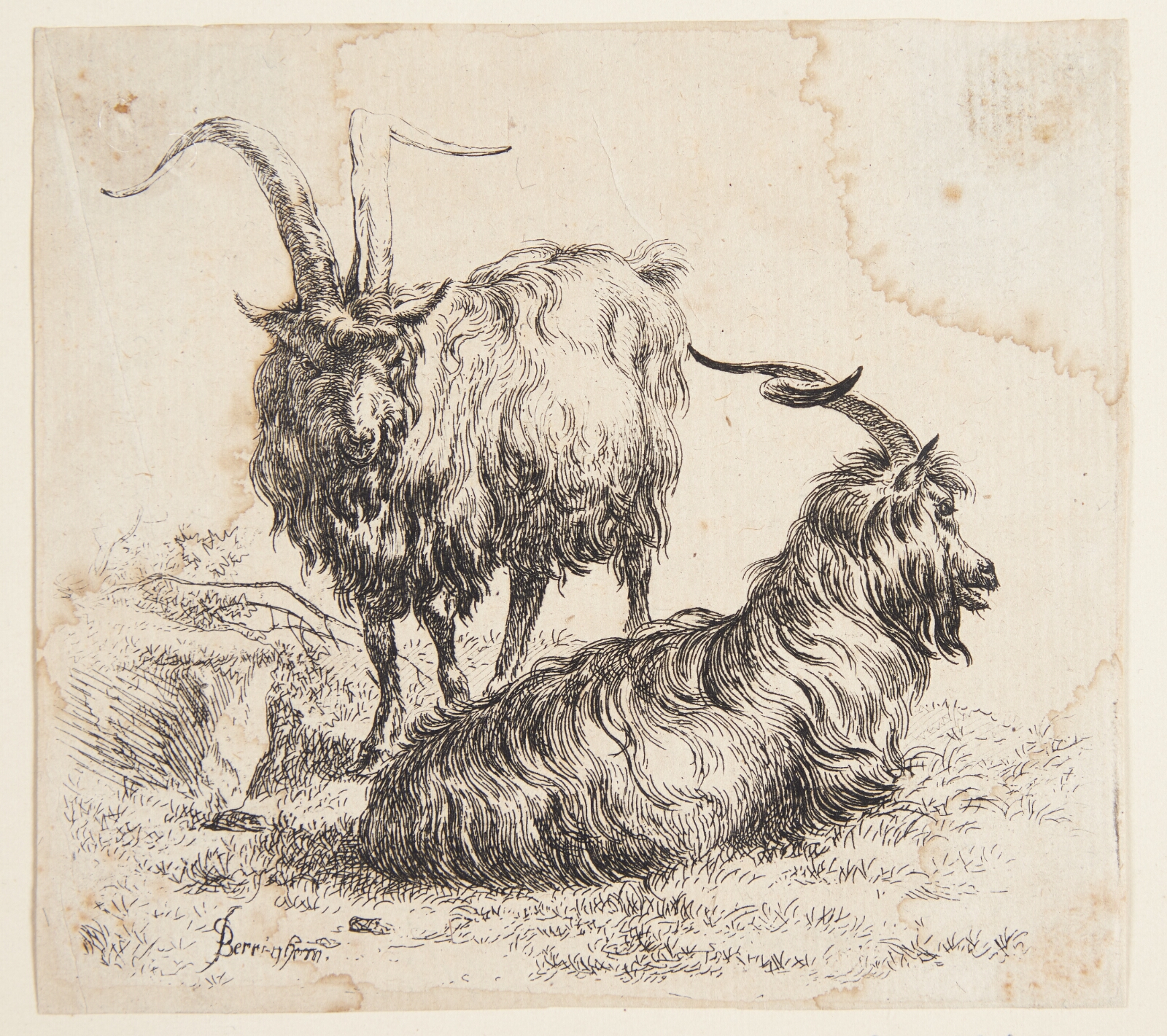 Nicolaes Berchem, En stående og en liggende ged
