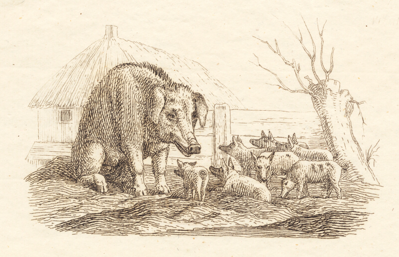 Martinus Rørbye, Illustration til "Halvhundrede Fabler for Børn" af Hey