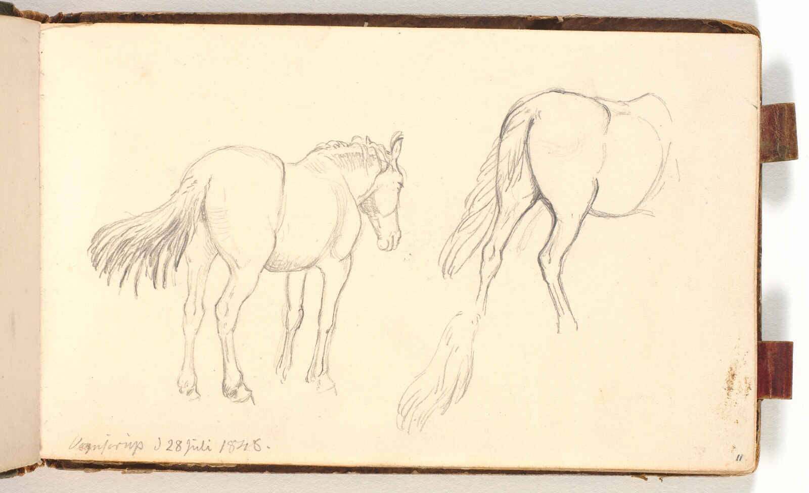 P.C. Skovgaard, Hestestudier