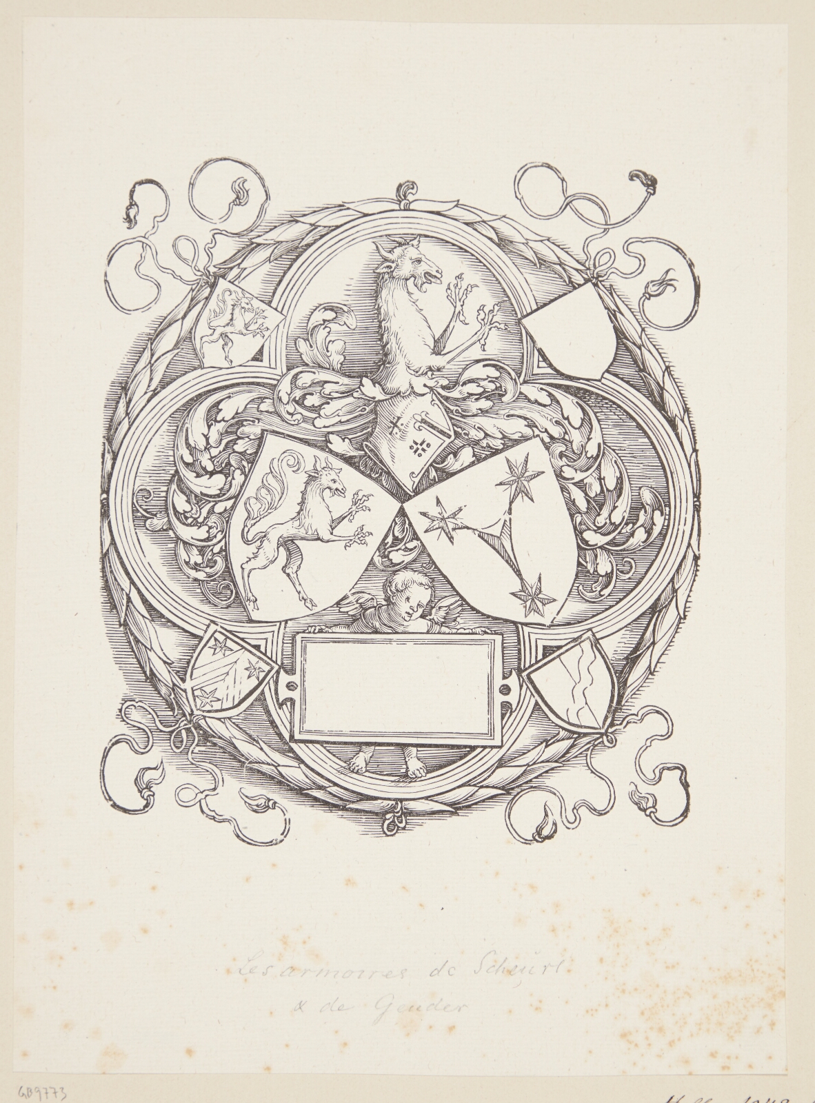 Albrecht Dürer, Scheurl's våben