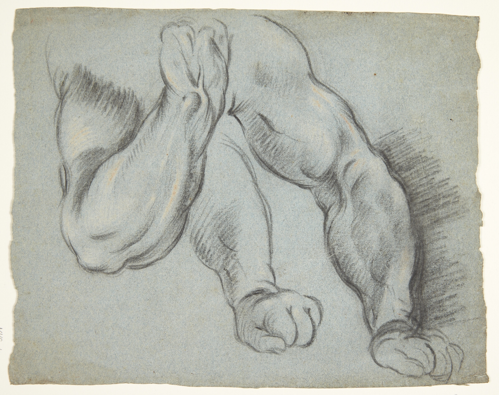 Peter Paul Rubens, Arme