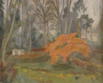 Maple and Beehives