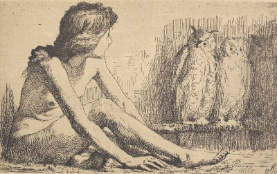Pigen med uglerne, Schwartz, Frans, 1901