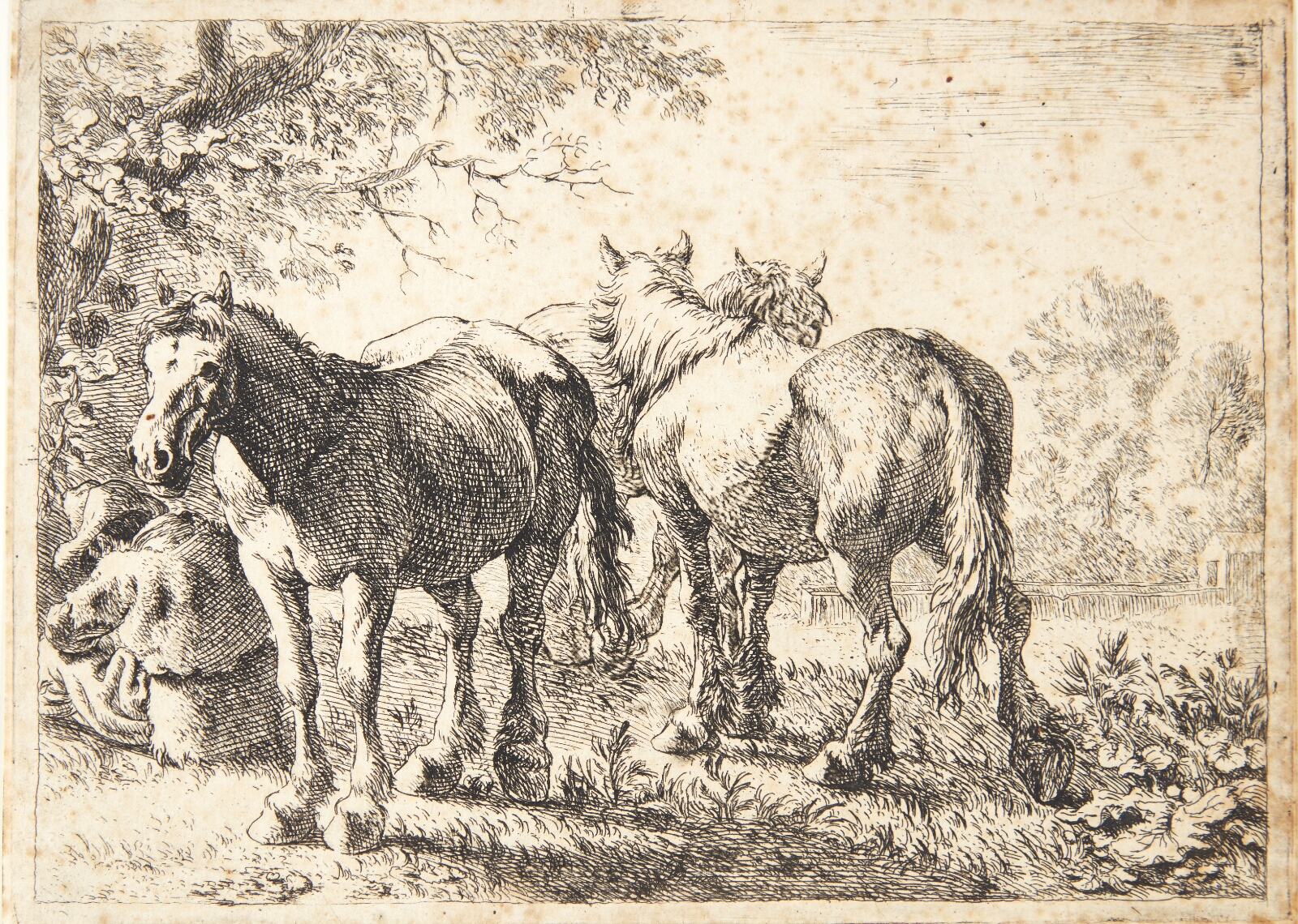 Pieter van Laer, Tre heste og en siddende rygvendt mand