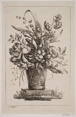 Et Glas med Blomster, Convolvolus, Nelliker m. v., Meyer, Elias, 1763-1809