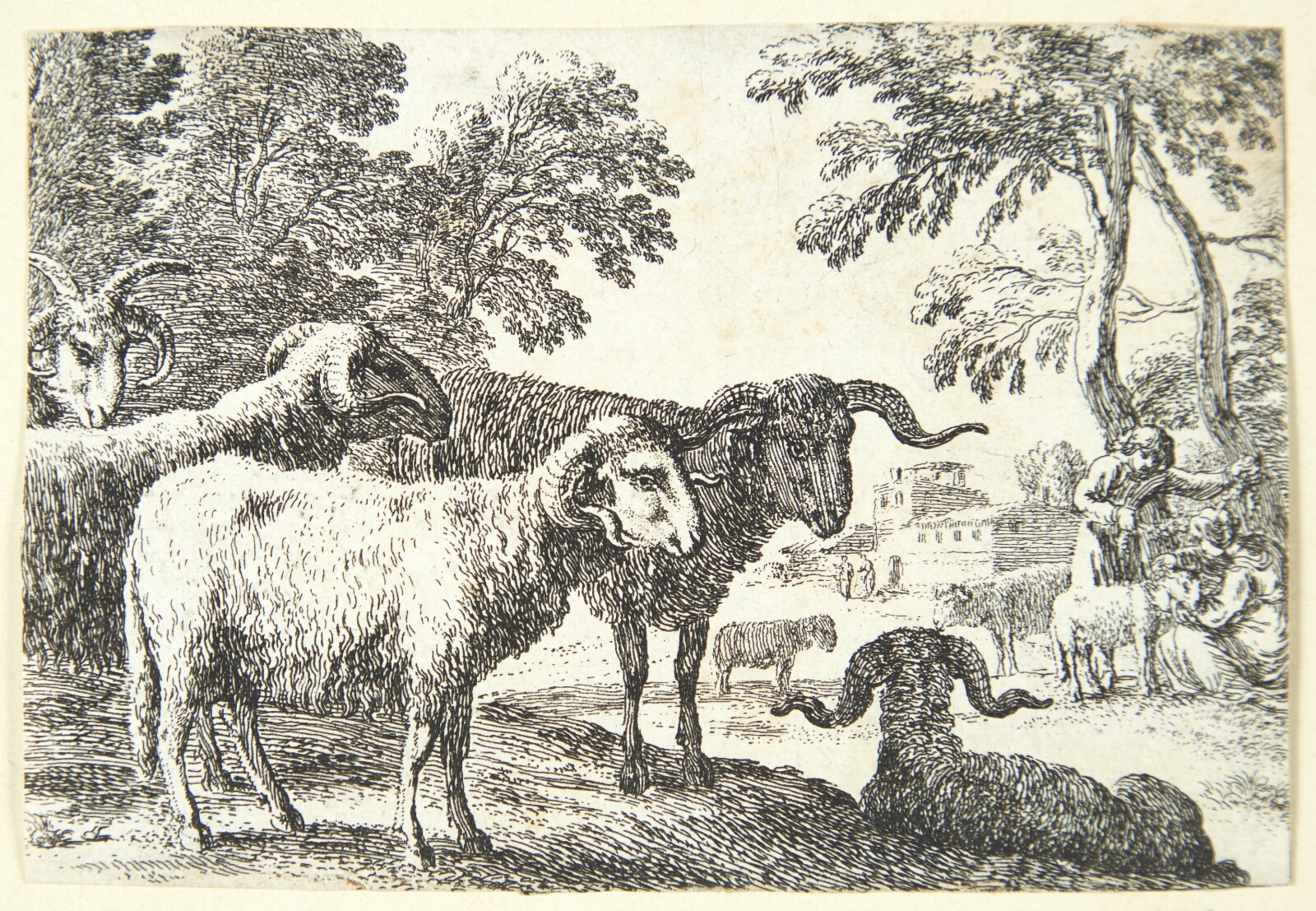 Herman van Swanevelt, Væddere