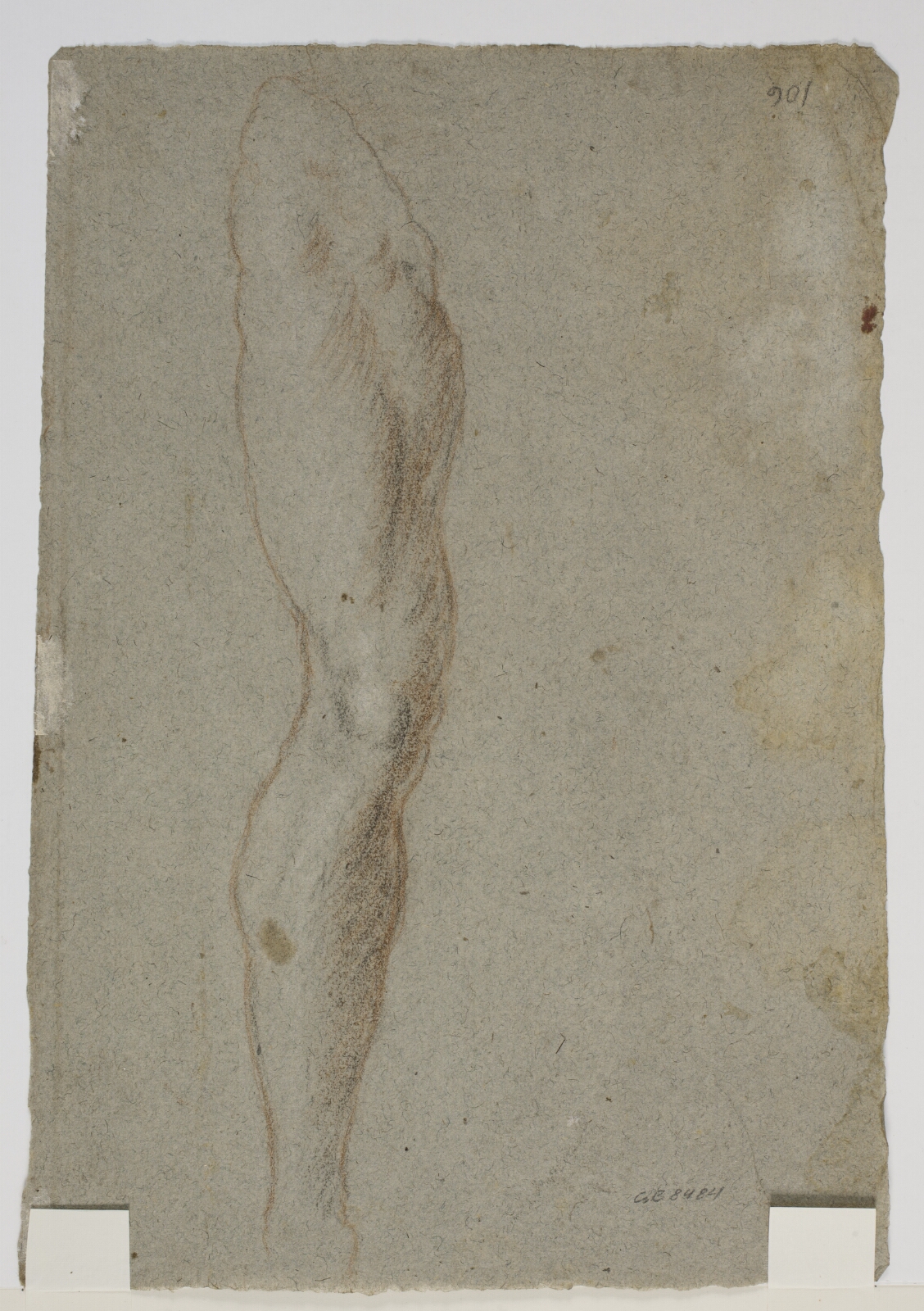 Jacopo Bassano, Studie til et højre ben