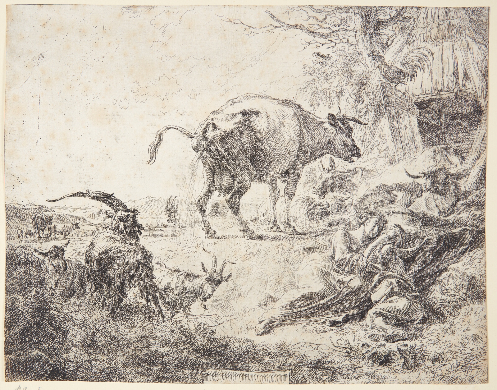 Nicolaes Berchem, Pissende ko