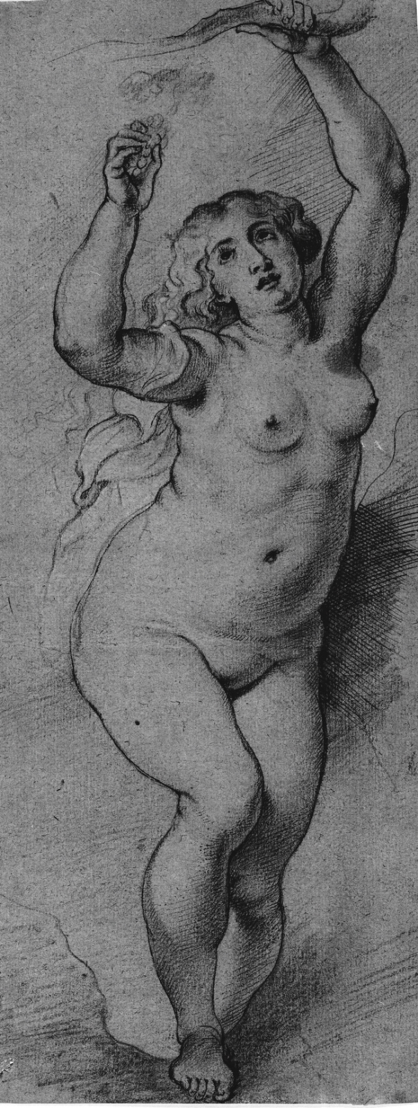 Peter Paul Rubens, Nøgen kvindefigur med opstrakte arme