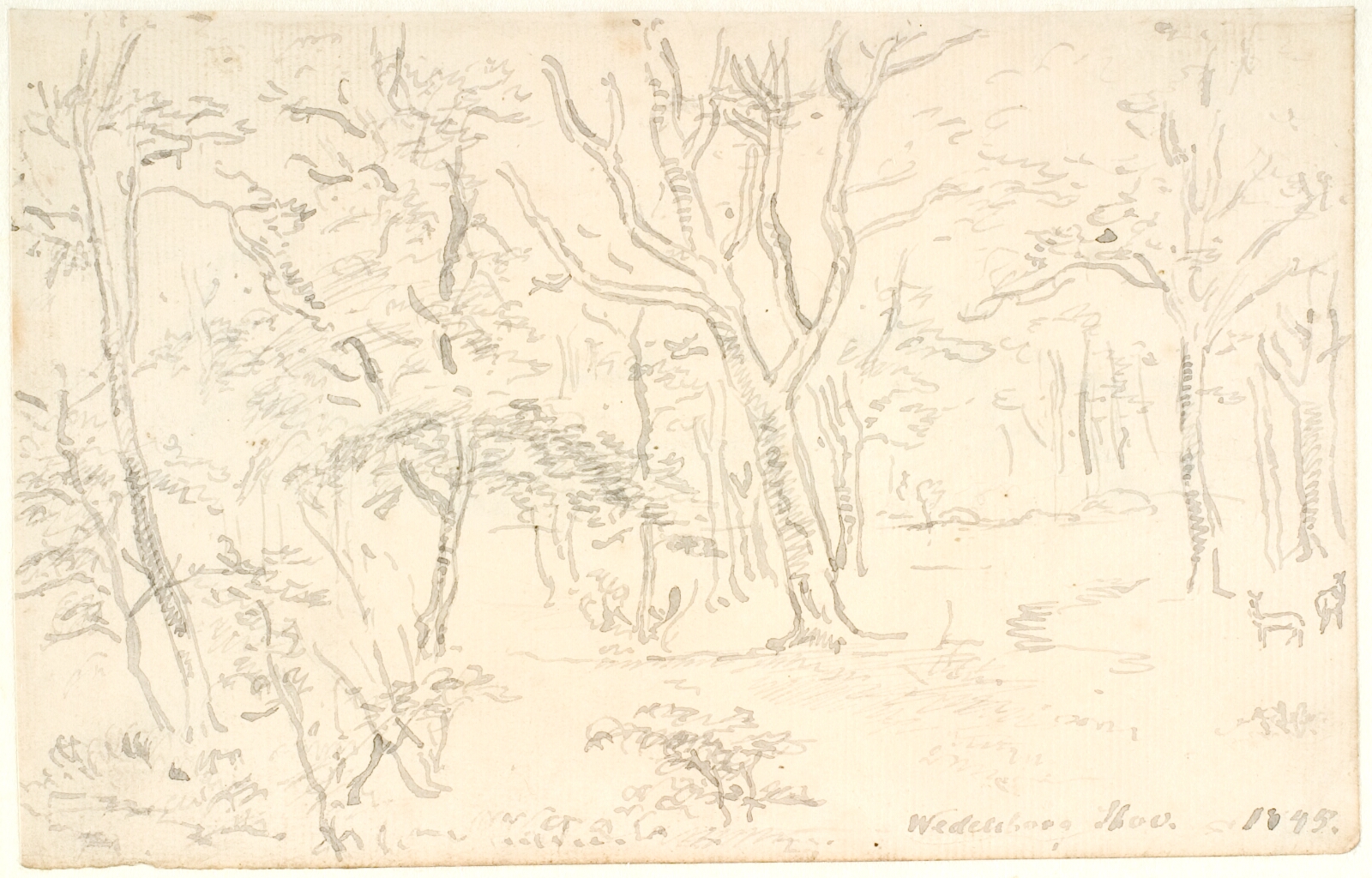 Dankvart Dreyer, Skovinteriør