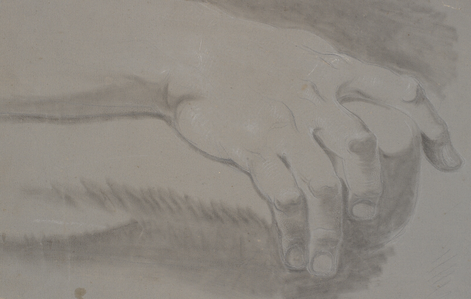 Nicolai Abildgaard, Studie af en hånd