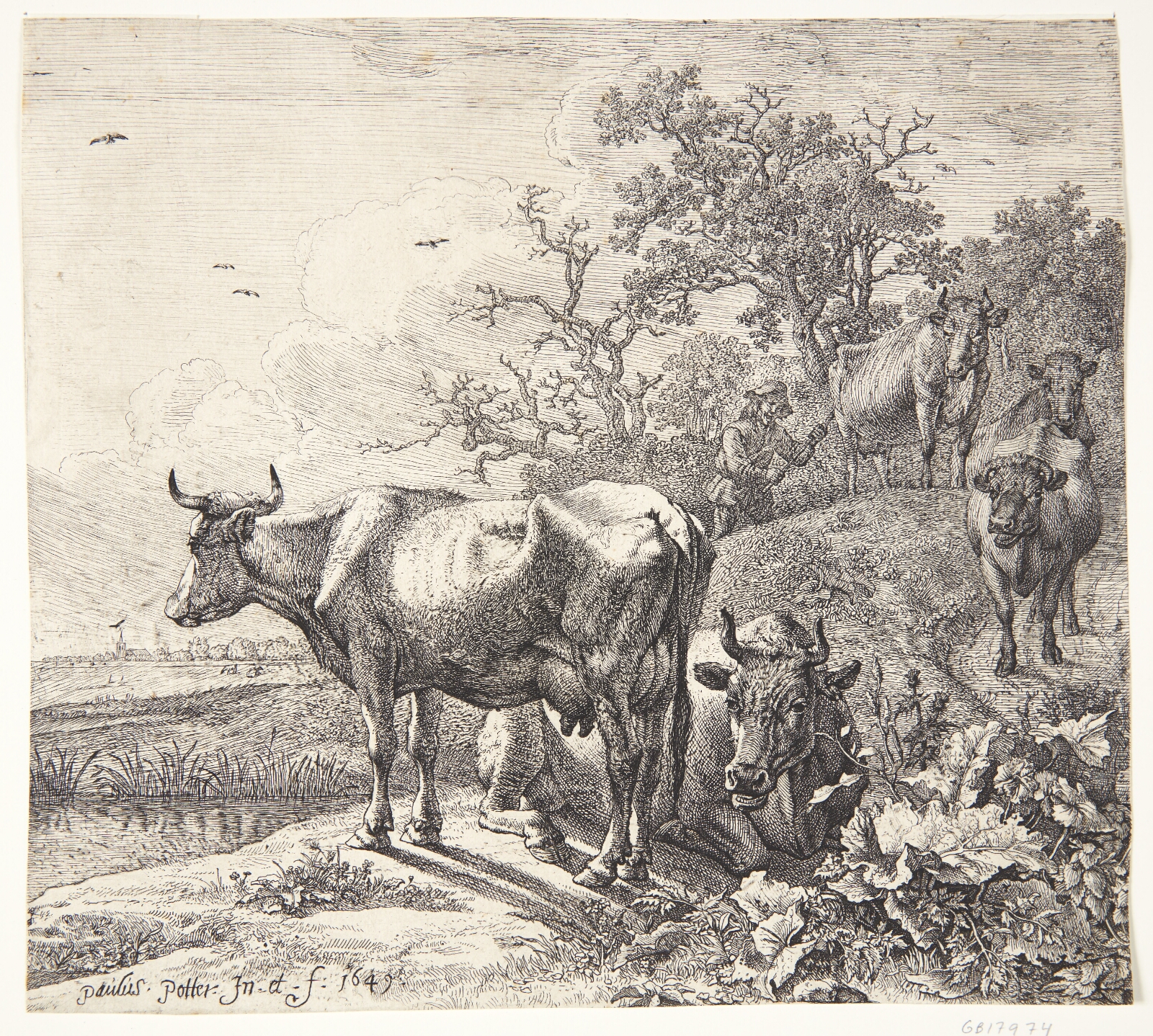 Paulus Potter, Kohyrden