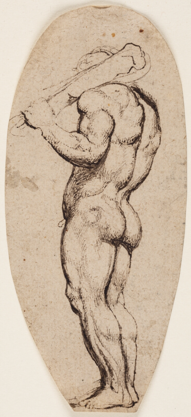 Peter Paul Rubens, Herkules
