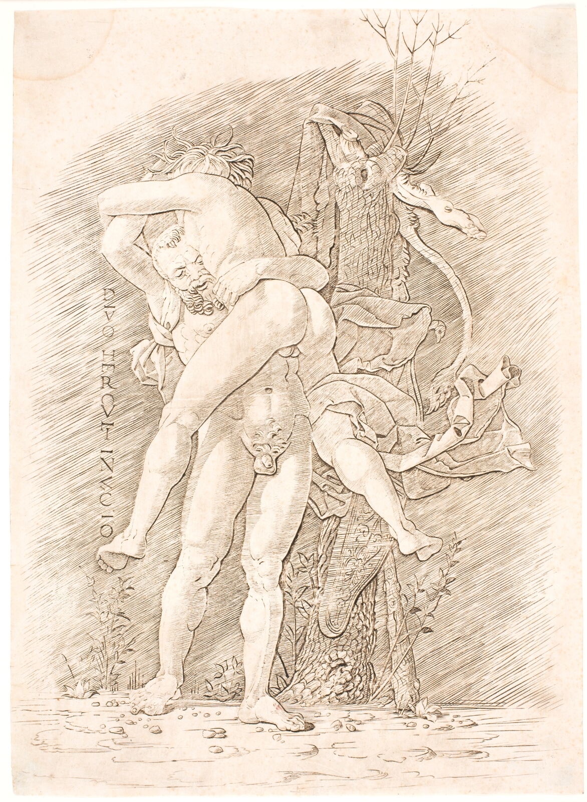 Andrea Mantegna, Herkules og Antæus